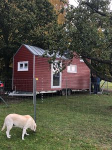 Tiny House Natur