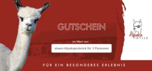 Alpakapicknick für drei Personen