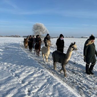 Winterspaziergang