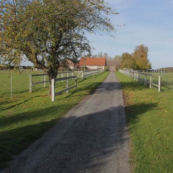 Alpakahof